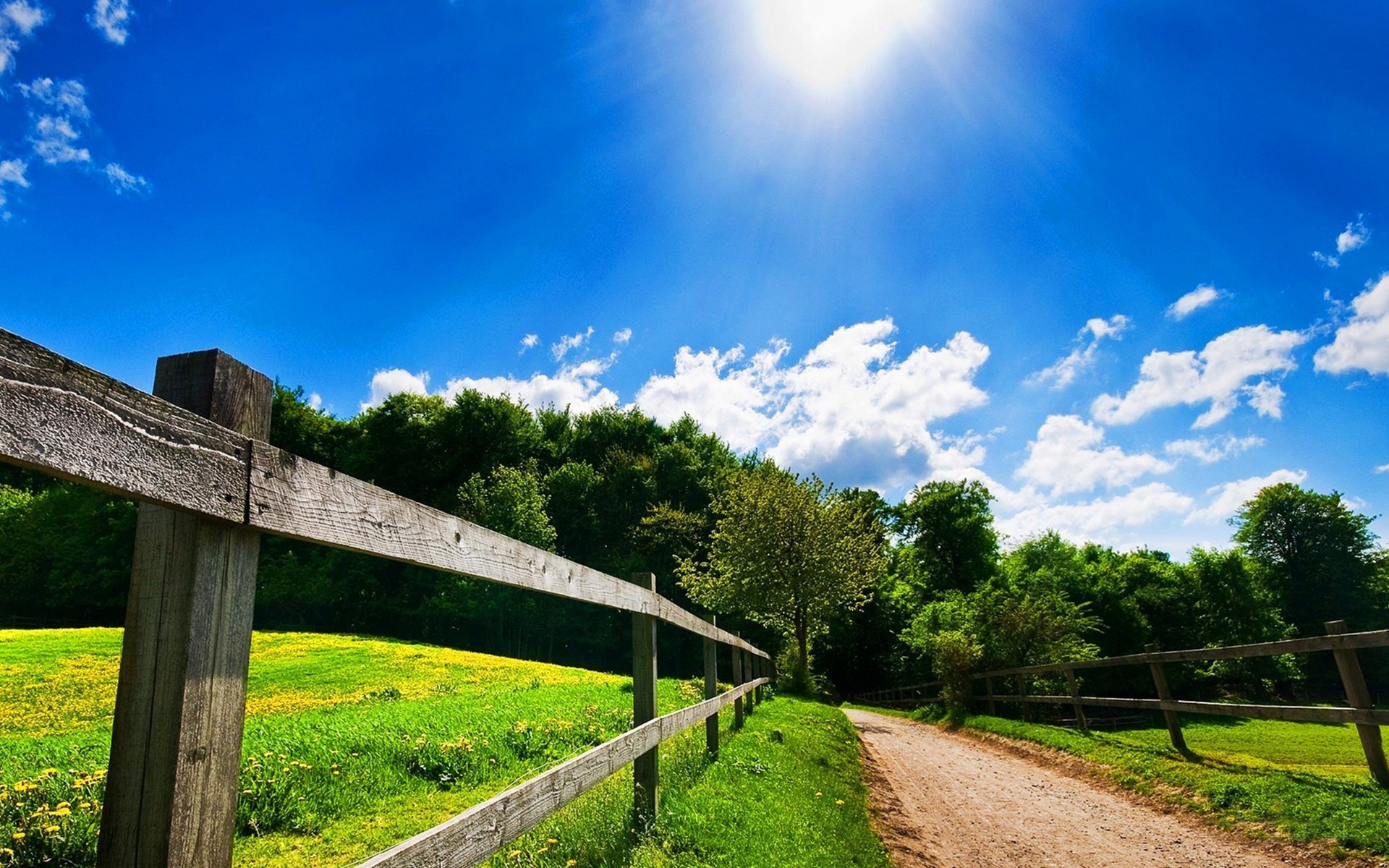 1920 x 1080 HD Wallpapers 2044